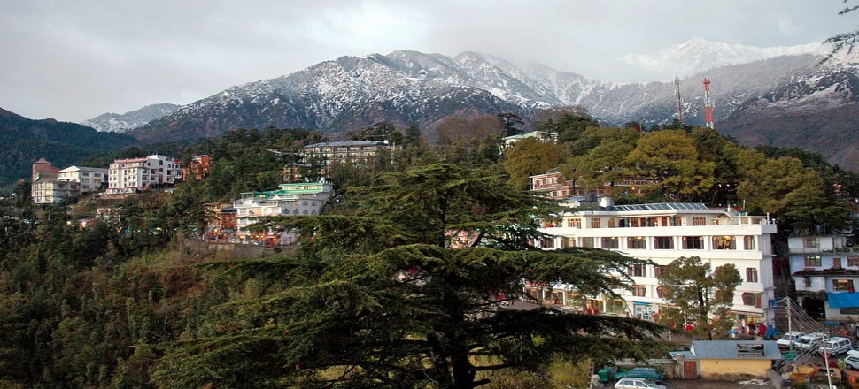 Mcleodganj Tour Booking